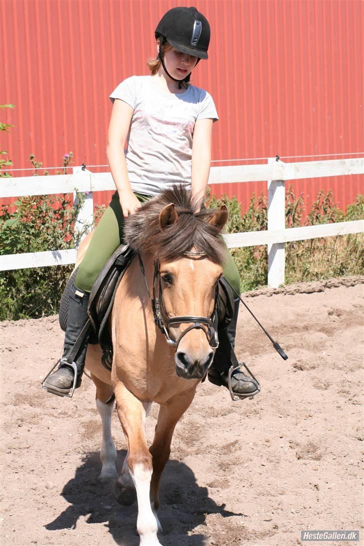 Anden særlig race Carla |  *! SOLGT :'( !* - lidt afslapning:) Billed Lone billede 3