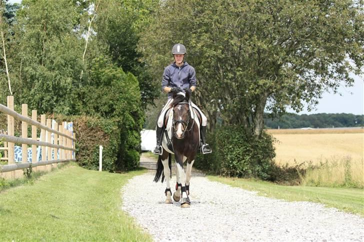 Anden særlig race Pingo - 2# På vej om at få undervisning :D foto : Klaus (Kathrine´s far) billede 2