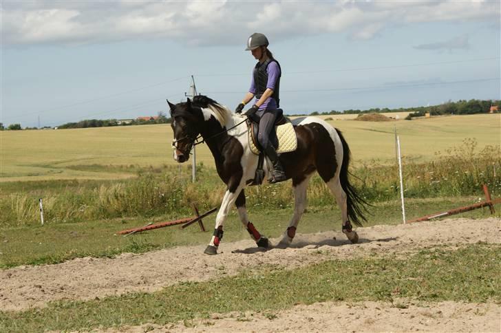 Anden særlig race Pingo - 5# Opvarmer til at skulle springe :D  foto: Marie billede 5