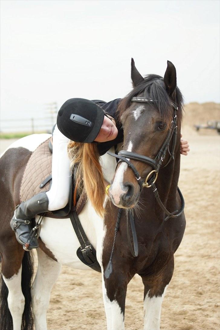 Anden særlig race Pingo - 6# Stævne i HDR (:  billede 6