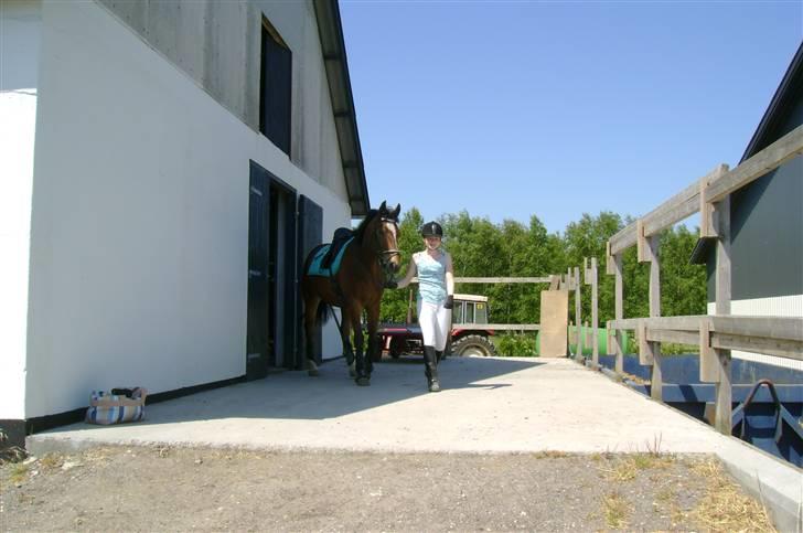 Anden særlig race Mirou *Solgt* - Mig og Mirou kommer ud af stalden... billede 15