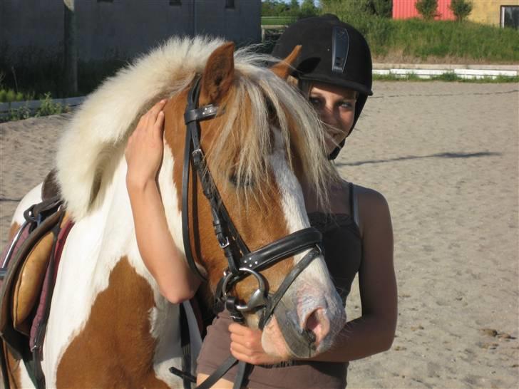 Pinto Lucky Boy - Min frække pony og søde Nanna (: juni 2008 billede 12