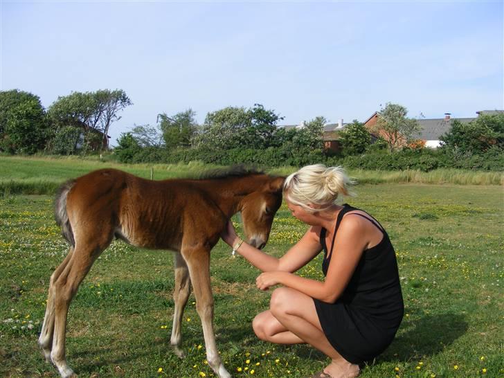 Anden særlig race Damgaards Chantel - Mig og "Følle" billede 8