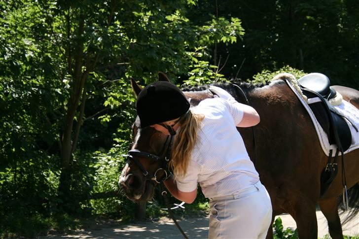 Fuldblod (XX) Mr. Fleming billede 14