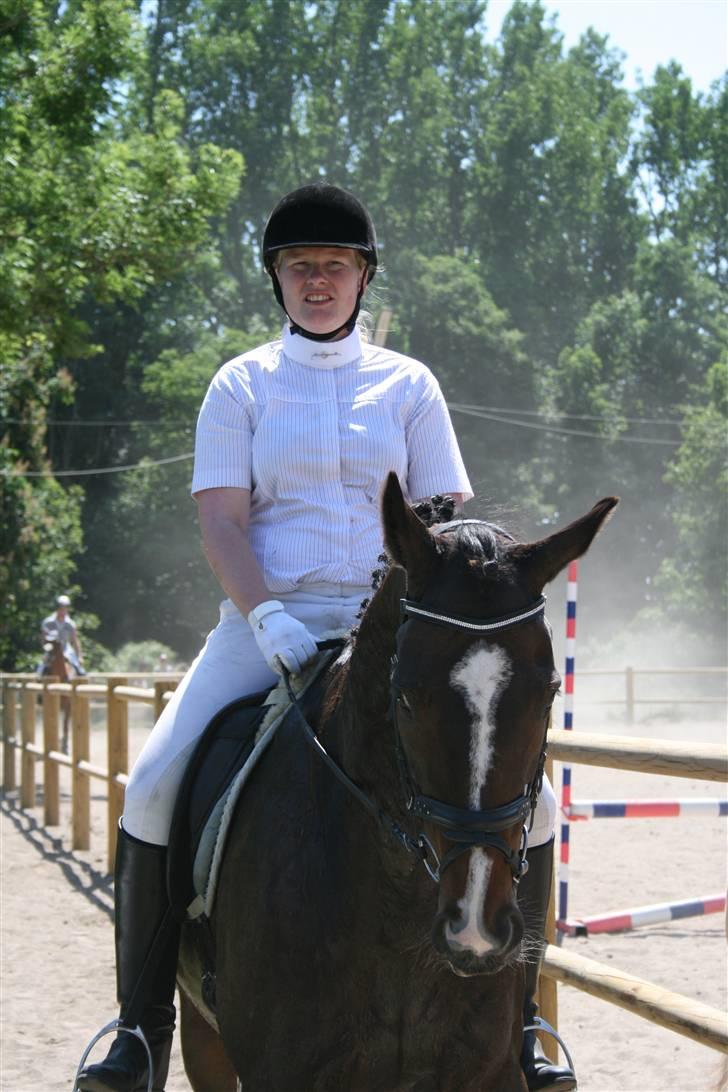 Fuldblod (XX) Mr. Fleming billede 19