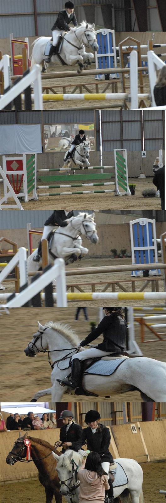 Anden særlig race Irish Jumper - solgt  - Skive - Første landstævne MA 3 plads. - Foto Far  billede 6