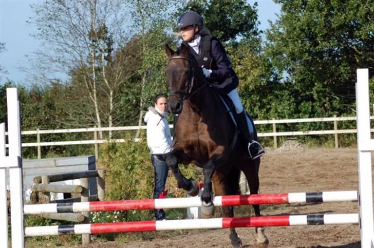 Anden særlig race » Elvis R.I.P - 8 ¬ LD SVEJ 28 Sep 2008 billede 8