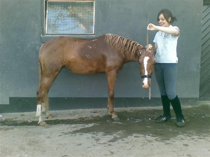 DSP Zig-Zag *SOLGT* - åh det er synd for mig :-) billede 8