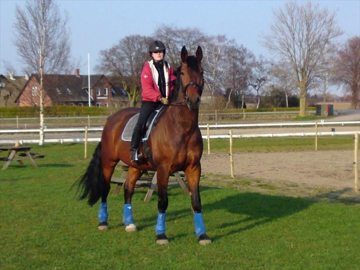 Oldenborg Porthos the Great *SOLGT* - uuh :* Foto: Line Alm (: billede 11