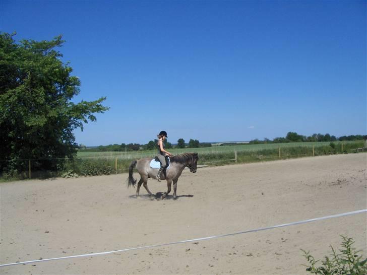 Anden særlig race apollon (solgt) - så rider mig og ane sammen.(=08 billede 18
