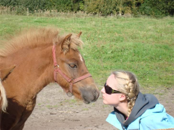 Anden særlig race Klaus SOLGT - Mys Mys ;* billede 2