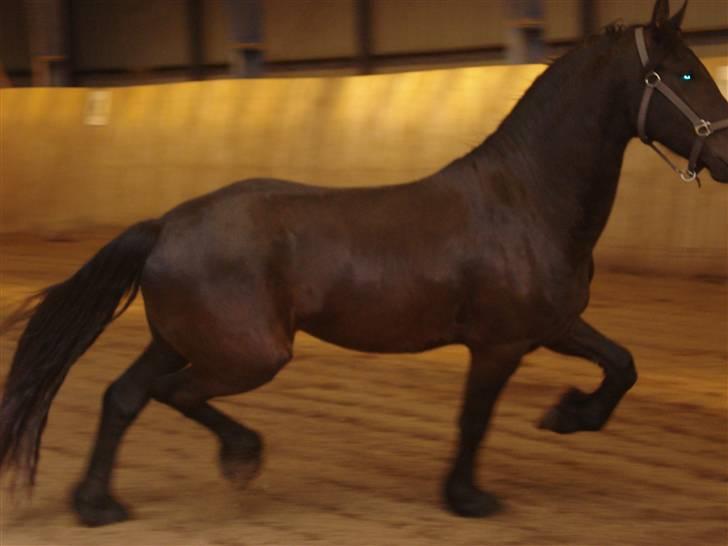 Frieser oebele van phidor - se mig jeg løber er jeg ikke smuk var billede 7