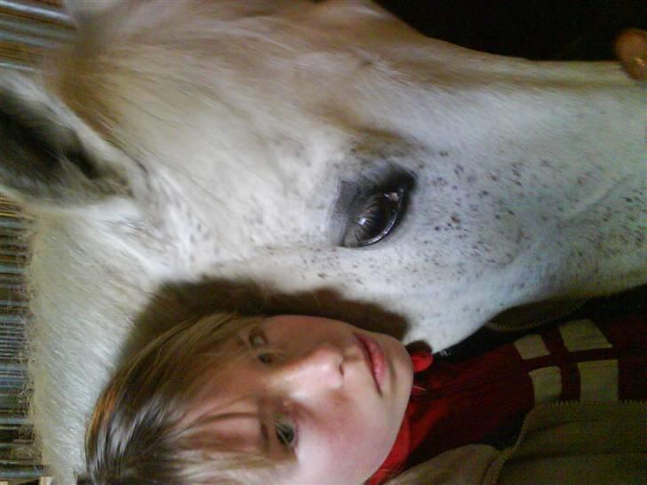 Anden særlig race Bella *SOLGT* - mig og sköhne billede 8