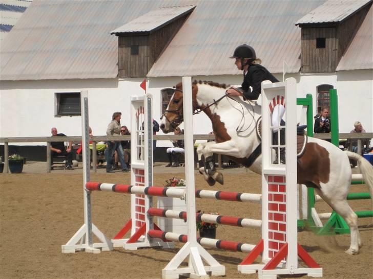 Pinto Komo - Coy  - My pony, LB  <3 billede 6