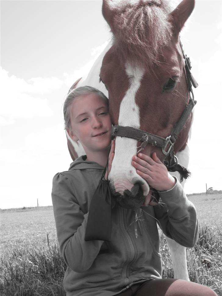 Pinto Komo - Coy  - mig og min skønne ponzzii <<333 love you ever !!!!!!! :D billede 8