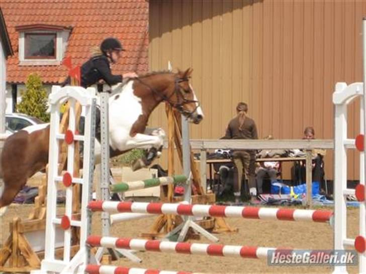 Pinto Komo - Coy  - elsker dig over alt på vor herres jord :):D:D <333  billede 15