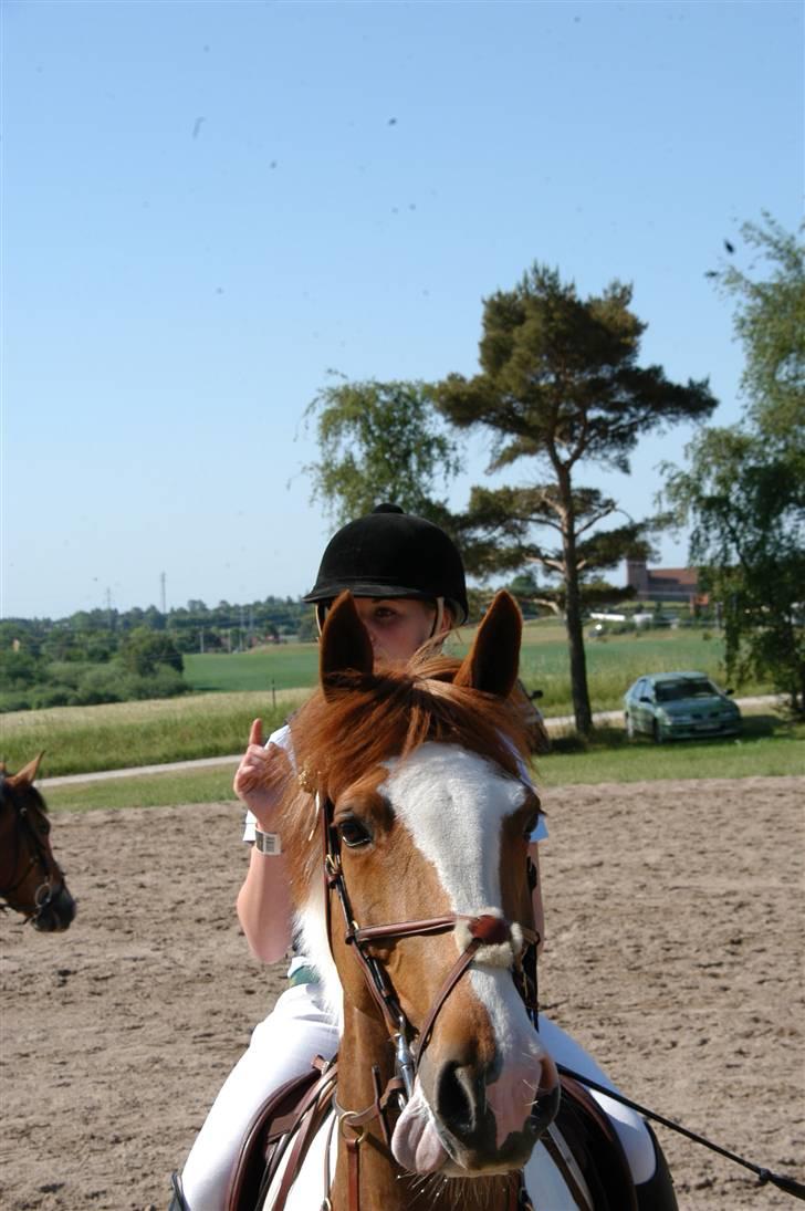 Pinto Proud Mary - Til stævne på FVR. Fortæller banen(:  billede 3