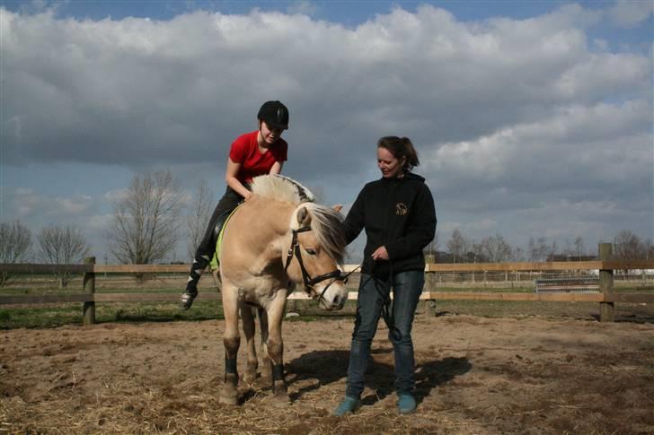 Fjordhest PH's Inko  - Første gang på Inko (MED sadel) billede 6