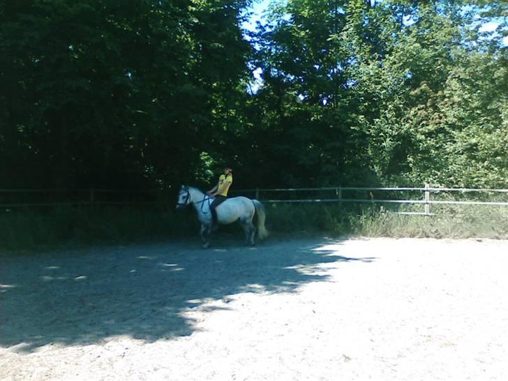 Anden særlig race Bertha - mig og Bertha rider:) billede 20