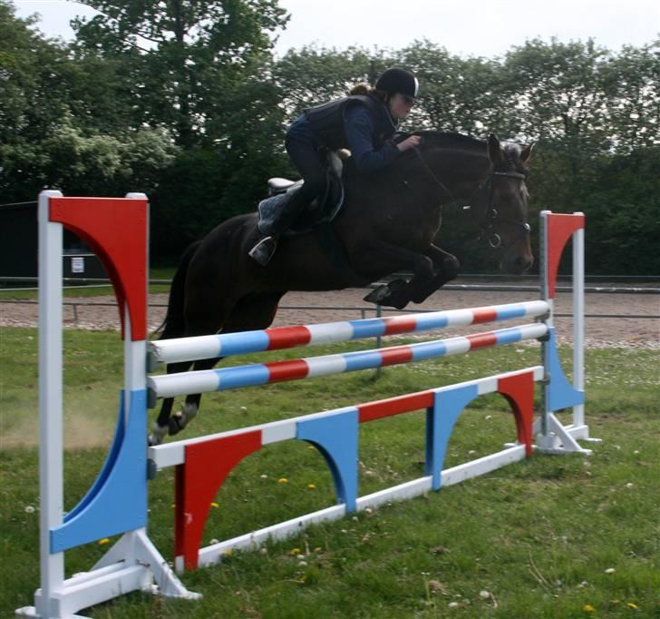 Anden særlig race Voldbjerggårds Musse - Musse og jeg til springtræning af Jannike den 15/5-09 på NVR (110cm) Foto: Helene billede 1