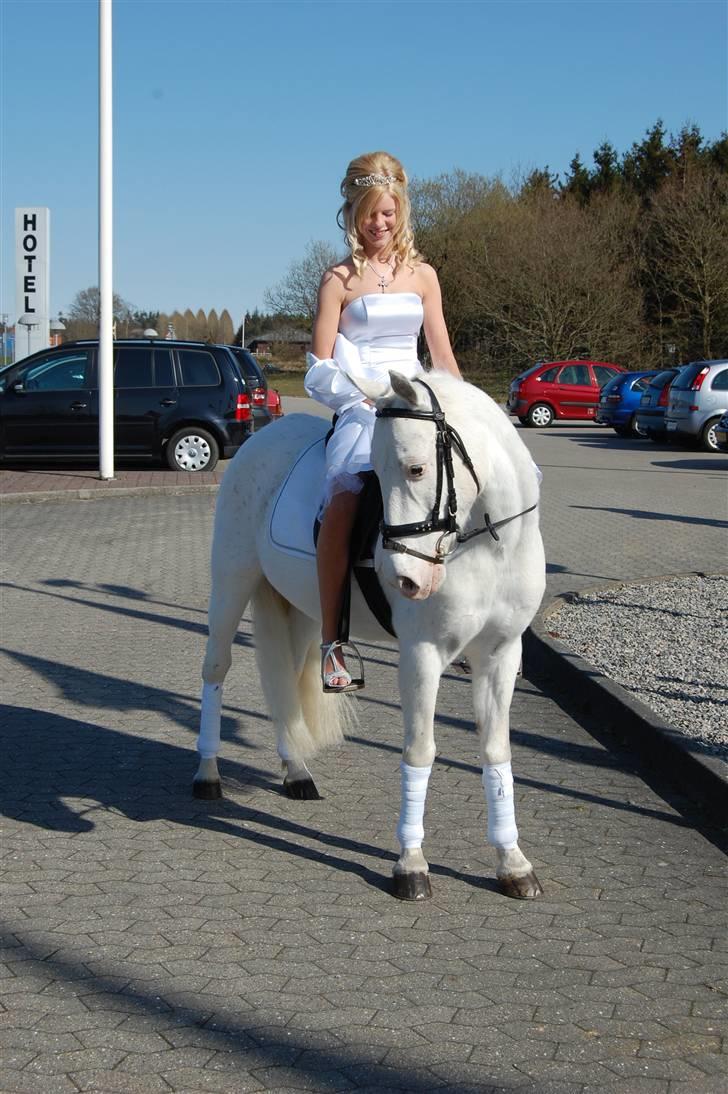 DSP ottelia - ottelia kom til min konfirmation billede 4