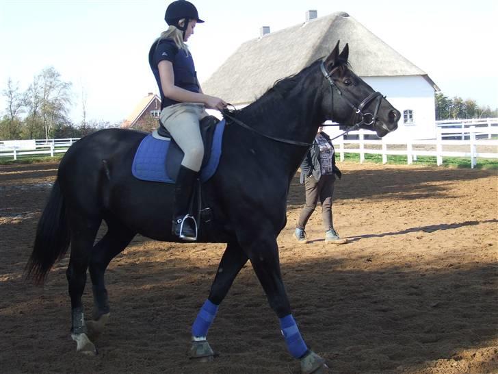 Oldenborg maj billede 1