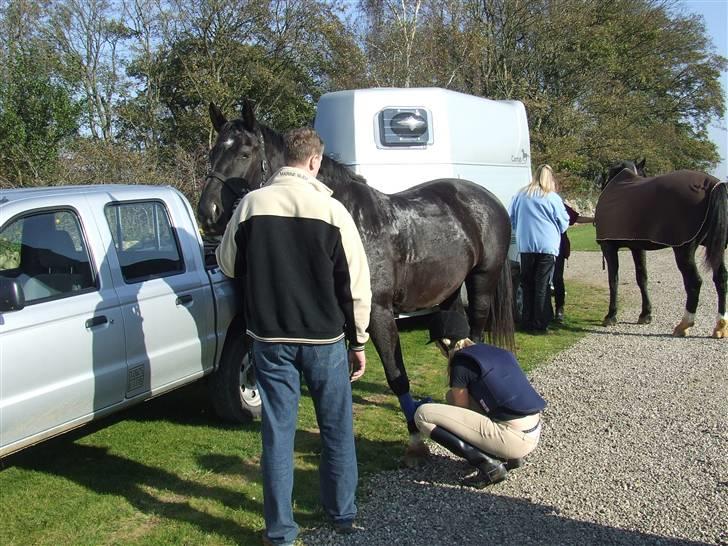 Oldenborg maj billede 2