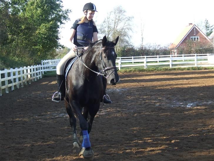 Oldenborg maj billede 5