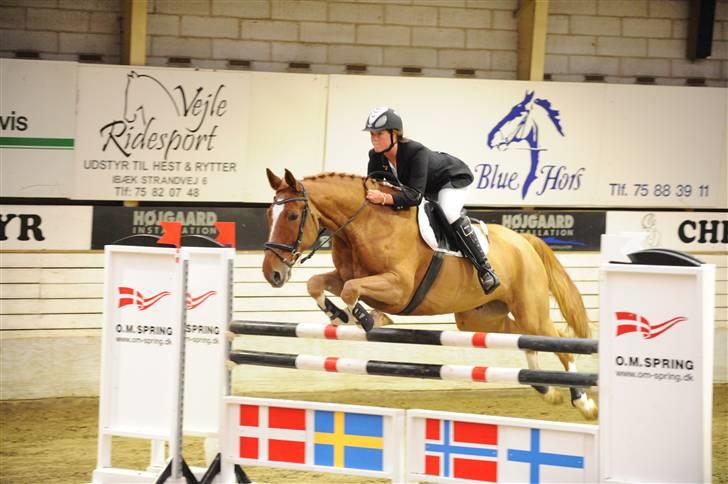 Anden særlig race Acorde Z - AFLIVET - Velkommen til Acorde Z profil :) billede 1