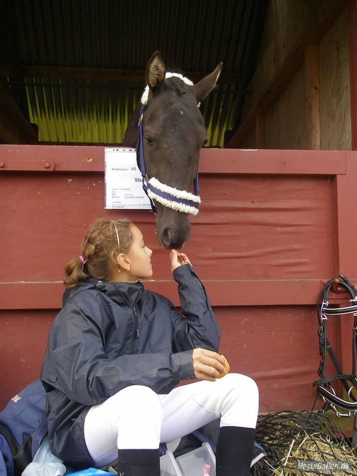 Hollandsk Sportspony stuntman *gl. part* - ILoveYouStunt  Fotograf: Michelle billede 17