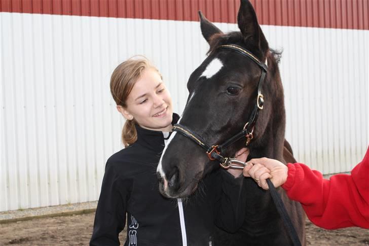 Dansk Varmblod Mazy *Solgt* - Mazy og jeg til kåring i Herning billede 10