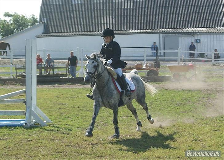 Hollandsk Sportspony Kallista M - B-PONY "SOLGT" - Kallista og mig i fuld fart NMRC 2010 billede 10