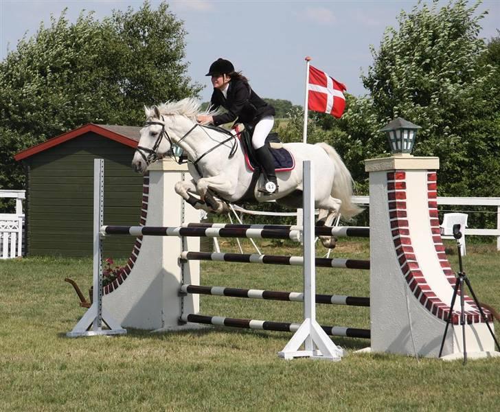 Anden særlig race Irish Jumper - solgt  - Irish er bare bedre end bedst! <3 MA 1 plads lands! Foto - Super Gitte <3 billede 9