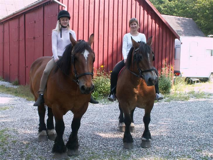 Belgier Kasper af Tveden billede 1