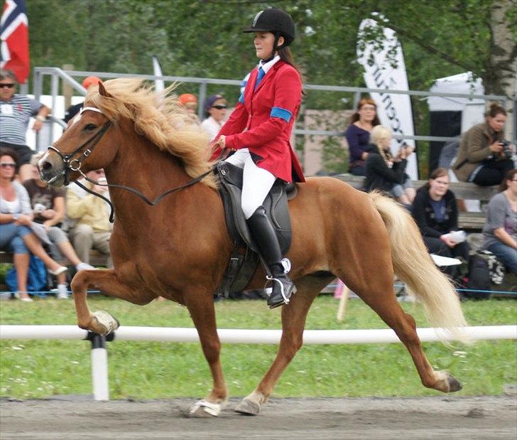 Islænder Abel fra Frederikshvile - Nordisk Mesterkskab 2010 i Finland. 6.73 i snit. (Foto: Sebastian Aagaard) billede 10