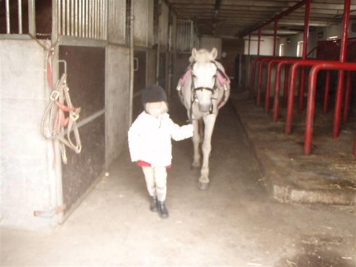 Anden særlig race Silver star(død d.13-7-09 - Sille  og Rebekka på vej ud og ride<3 billede 1