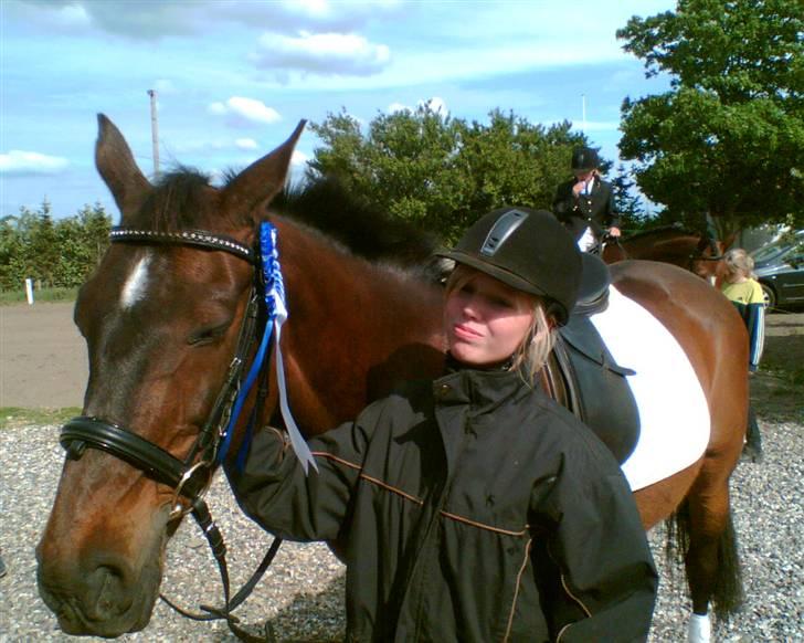 Dansk Varmblod Lady Maj R.I.P d. 29/4-08 billede 14