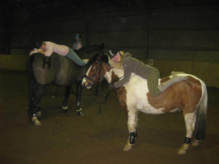 Anden særlig race Jolly Jumper SOLGT  - Mig og Pernille der tager en lur på vores ponyer/heste<3 Foto: Birthe Sørensen billede 2