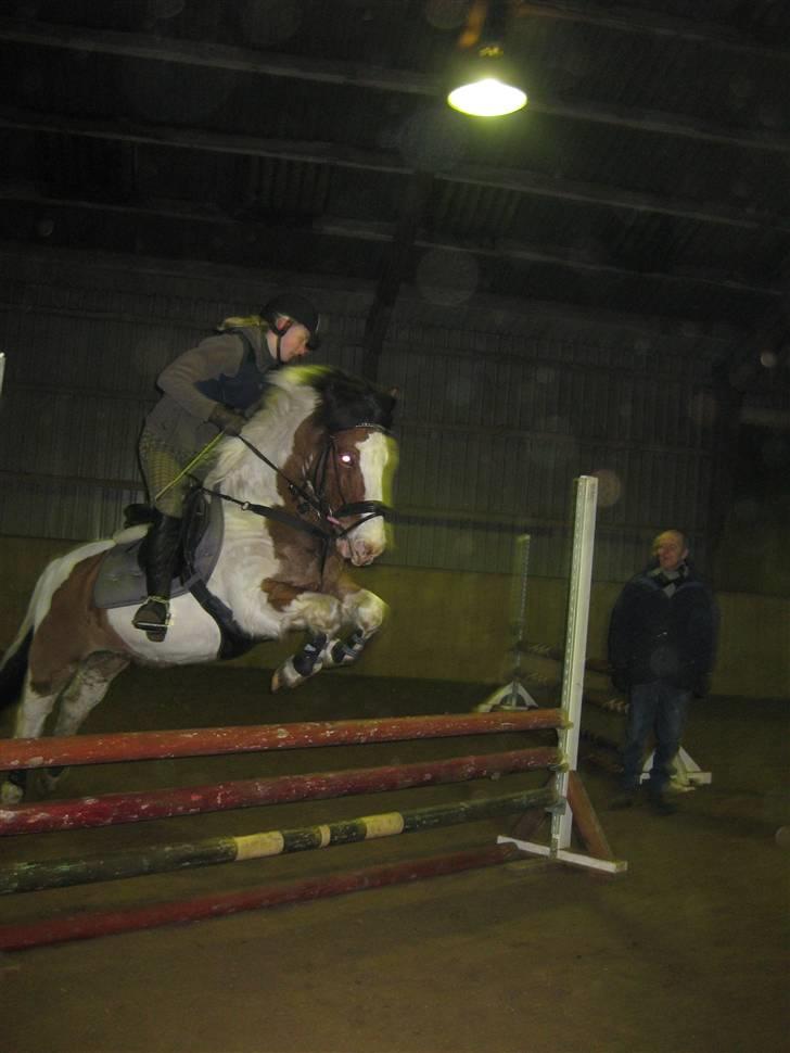 Anden særlig race Jolly Jumper SOLGT  - Til springundervisning<3 Foto: Sara billede 9