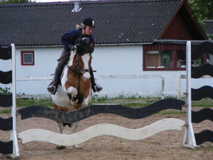 Anden særlig race Jolly Jumper SOLGT  - Ude på spring banen, min lille spring pony<3 Foto: Pernille billede 12