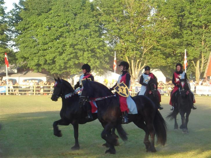 Frieser Dora K - det er Dora med de høje knæ løft.. smuk ik. billede 18