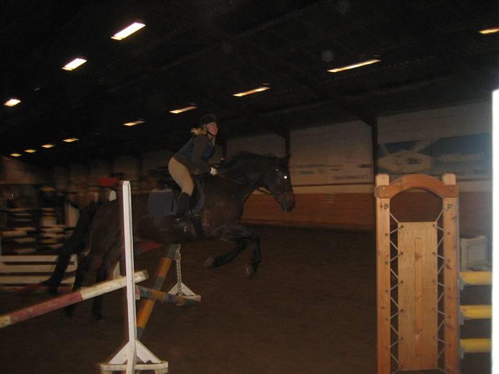 Anden særlig race Midnight Teardrop billede 9