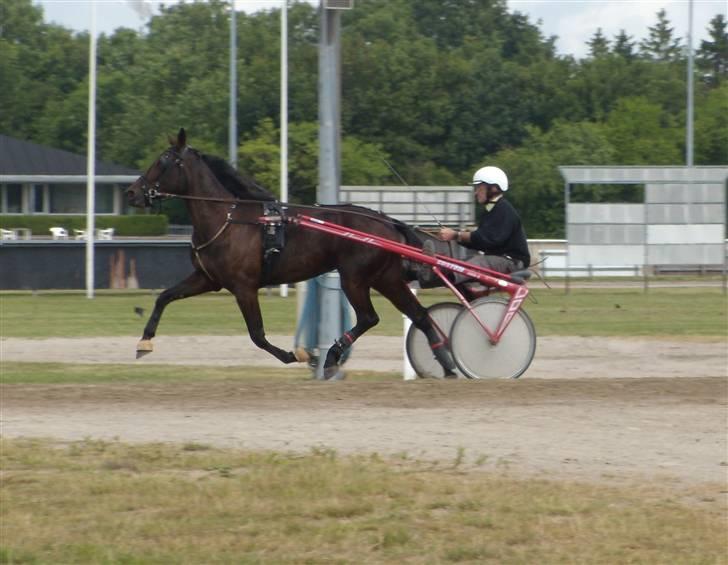 Traver  - Natasja Å - 18; Træning i Aalborg d. 8 juli :). billede 18