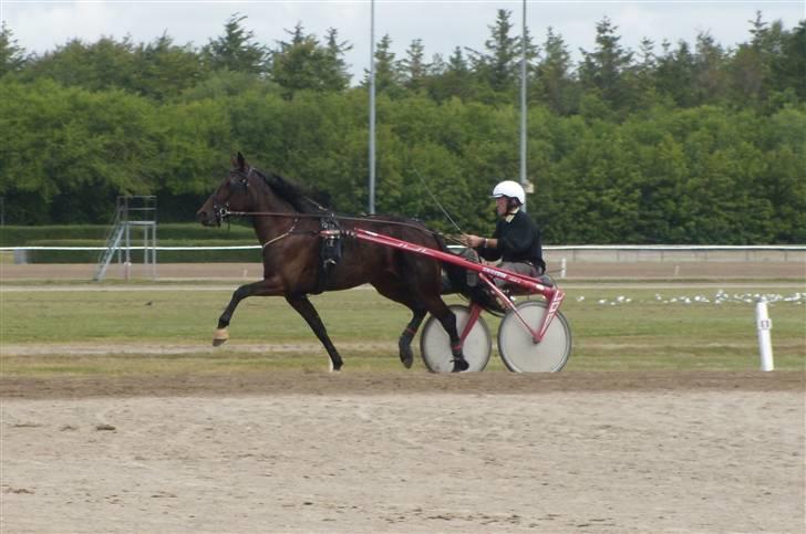 Traver  - Natasja Å - 20; Træning i Aalborg d. 8 juli :). billede 20