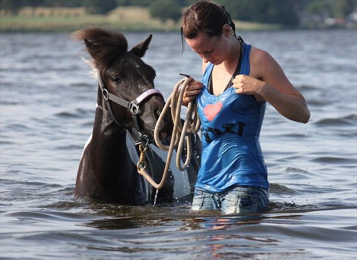 Shetlænder | Kærholms Ljubljana  - I <3 You :D 2010 billede 5