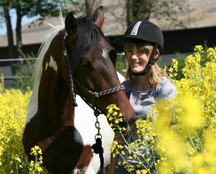 Pinto Lundhøjgårds Intermezzo billede 16