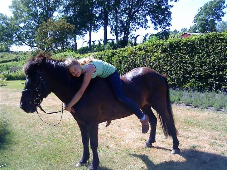 Islænder Sliepnir<3 R.I.P :'( - Sliepnir og mig, Slippy får lige en krammer ;*<3  ;D    billede 2