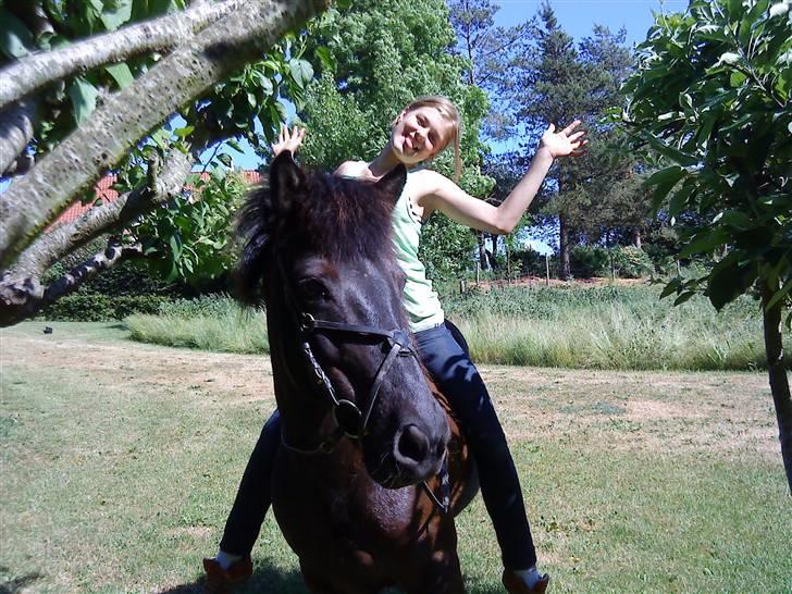 Islænder Sliepnir<3 R.I.P :'( - Sliepnir og Skøre mig  ;D   ..    (ingen kommentarer om ridehjelmen) tak billede 3