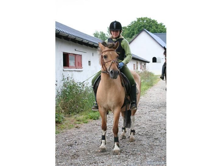 Anden særlig race Carla |  *! SOLGT :'( !* - Velkommen til Carlas profil ;) Billed Lone billede 1