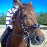 DSP Shanthi *min stjerne* RIP <3 27 sep. 2011 